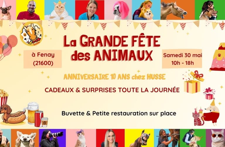 Husse croquettes