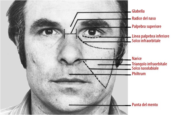 come capire se qualcuno mente