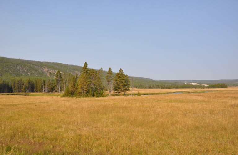 a field with a river and a mountain in the background in yellowstone national park