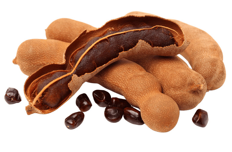 Tamarind - WEARE OCEAN EXPORT