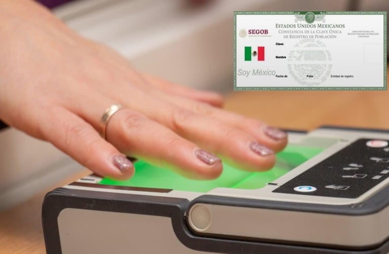 ¿Cómo validar mi CURP en Línea?