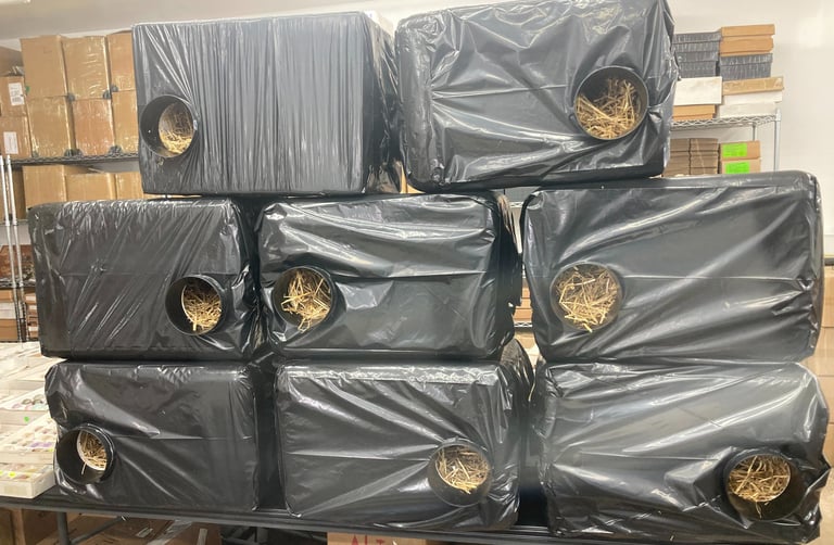 feral cat shelters filled with insulating straw for outdoor winter protection.