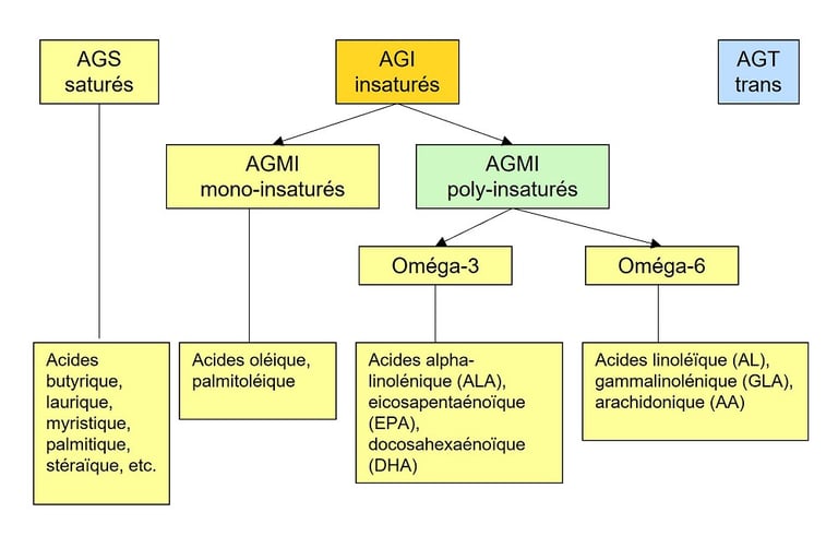 acides gras