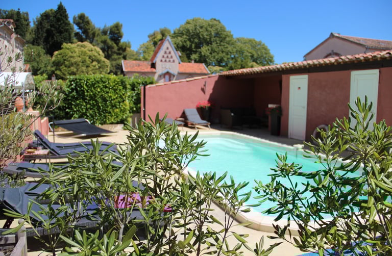La piscine avec son solarium, douche solaire, salon équipé d'un réfrigérateur et toilettes