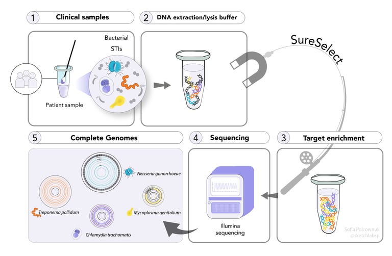 Graphical Abstract of target enrichment of STIs