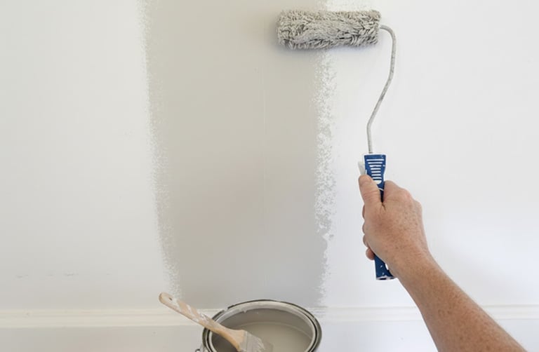 Pintura y Droguería Ferretería