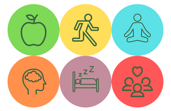 Pillars of Lifestyle medicine