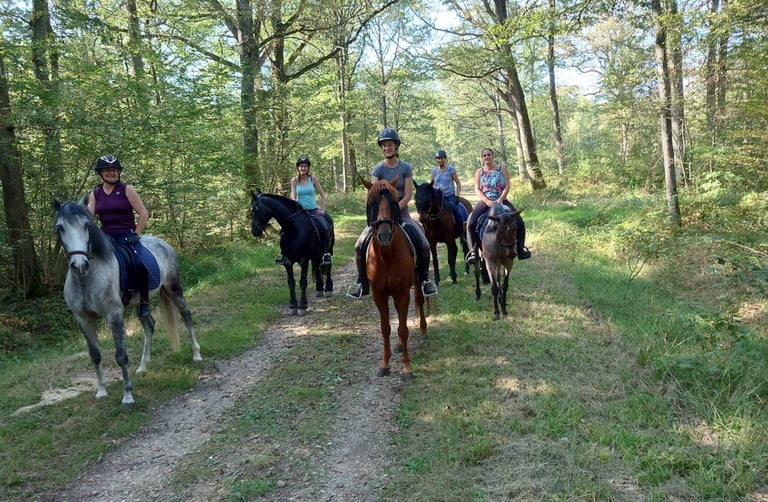 ballade chevaux forêt de malvoisine