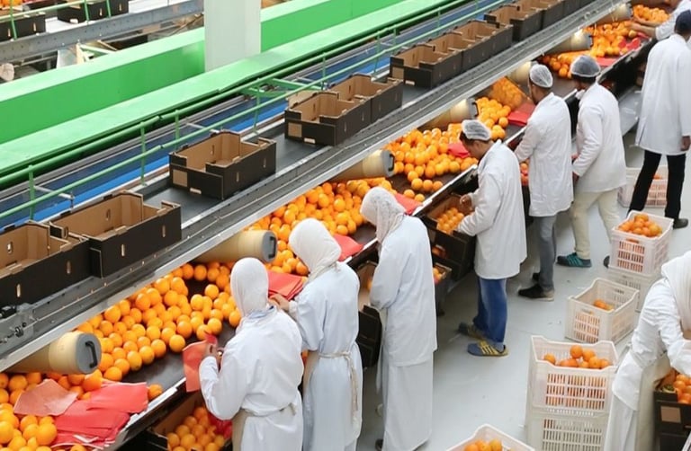 Workers in a sorting Company