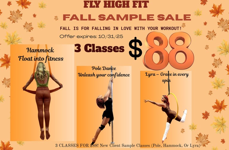 Aerial Arts Long Island Pole Hammock Lyra dance