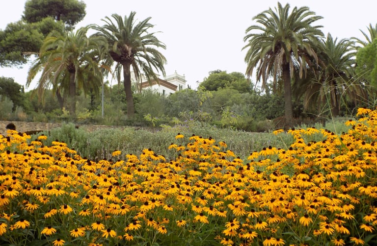 famoso parco con girasoli in primo piano e sfondo di giardino in fiore.