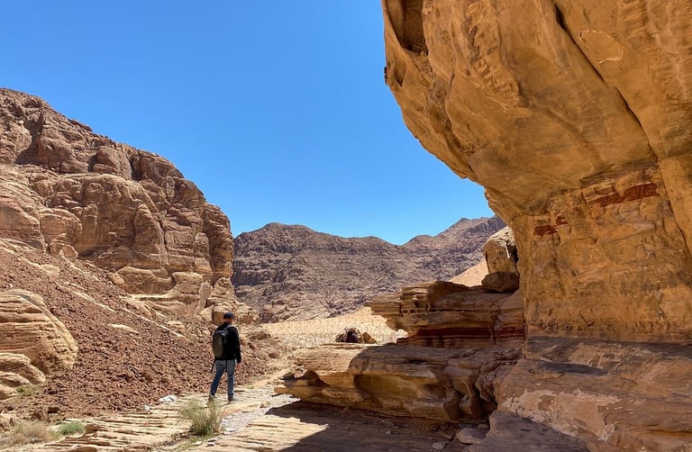 a person standing in a canyon with a mountain in the background