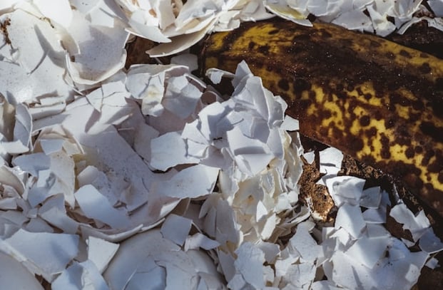 paper and banana peels: two good compost ingeredients