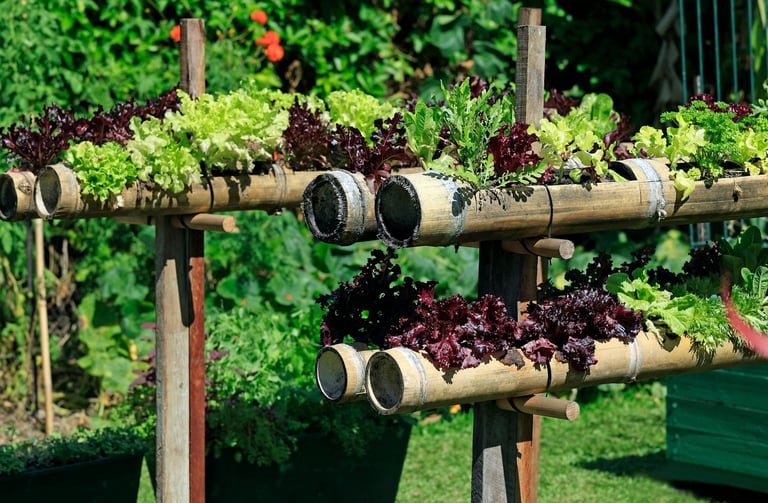 a vertical garden with multiple vegetables