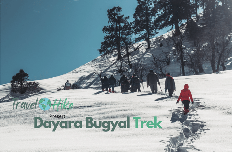 Trekkers scaling the lush trails of the Himalayas.