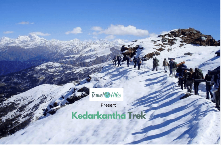 Trekkers scaling the lush trails of the Himalayas.
