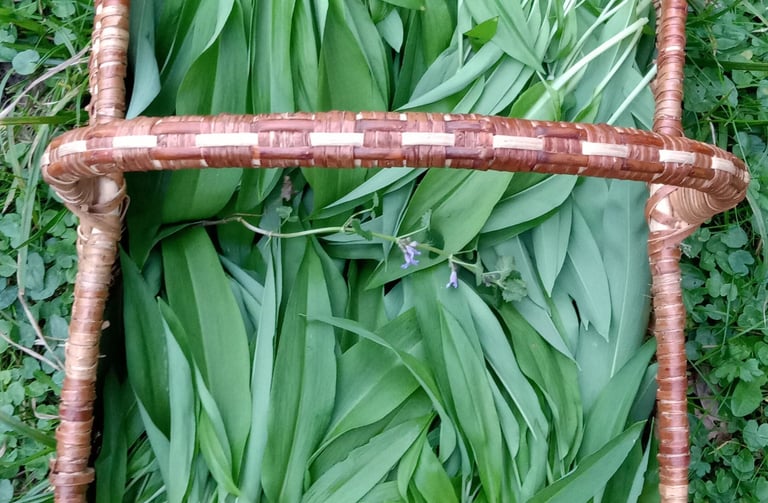 ail des ours dans un panier