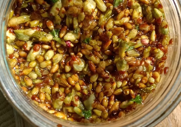 bourgeon en cours de macération dans un bocal pour créer de la gemmothrapie