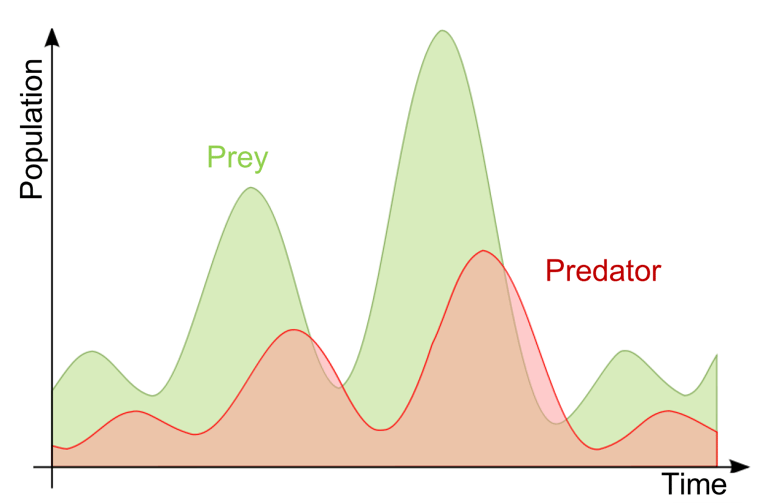 Theoretical dynamics of predators an their prey