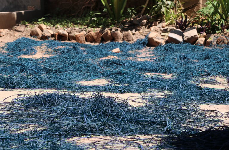 La Case Verte séchage de raphia