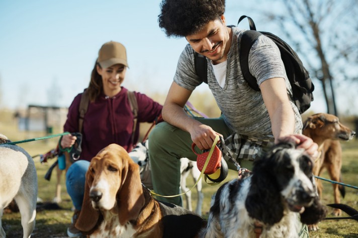 Trusted House sitters