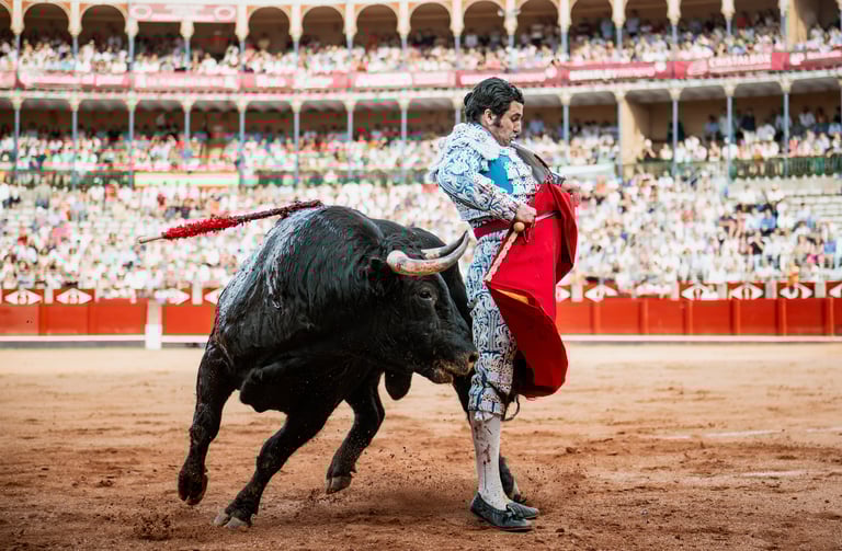 salamanca morante