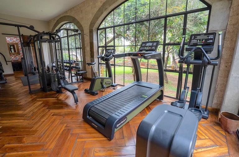 Giraffe Manor Kenya gym