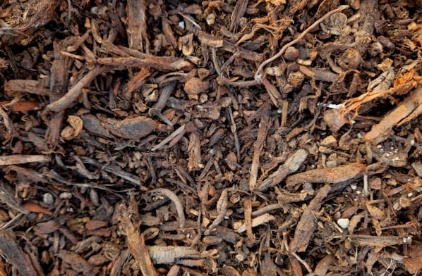 mulch out of wood chips with a dark brown color