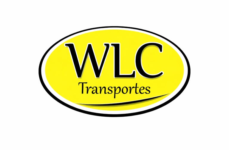 WLC Empresa de Mudanças