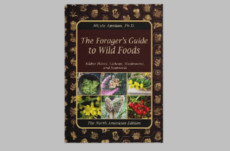 a book cover of the book the foraging guide to wild foods