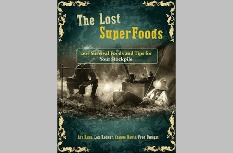 a book cover of the lost lost super foods