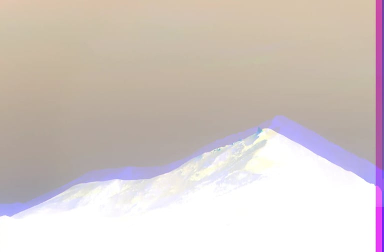 digital art, visual art, conceptual art, Joanna Wlaszyn