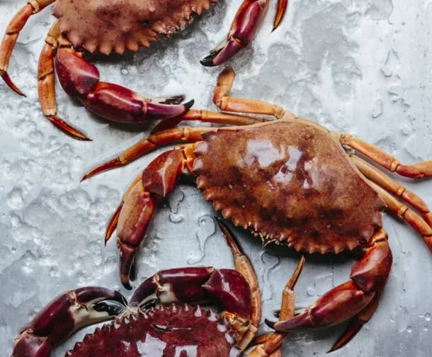 vietnamese crab supplier