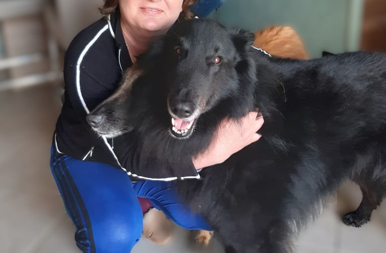 chien avec naturopathe
