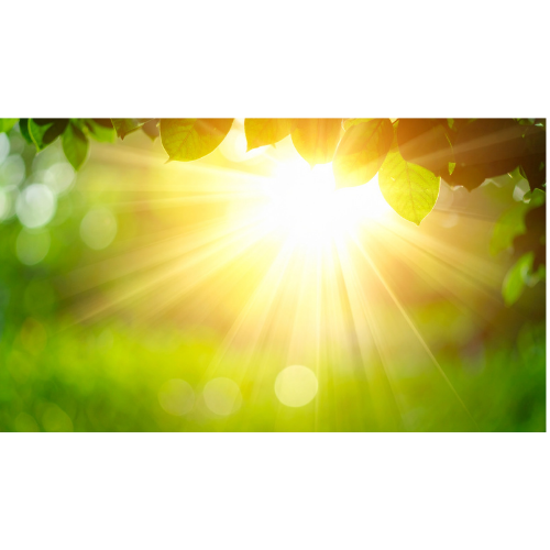 a sun shining through the leaves of a tree