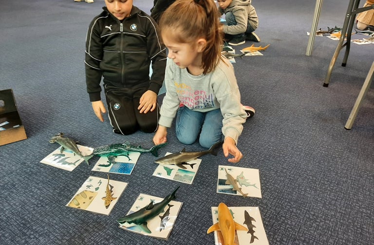 2 enfants avec la boite à requins