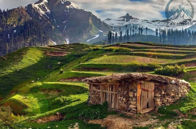 Old mud house in green step farms , Himalayan mountains in background