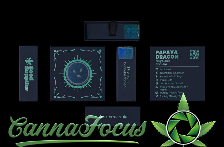 Für dieses Shooting der 'Papaya Dragon' Premium-Samen lag der Fokus auf einem minimalistischen, aber ausdrucksstarken Flatlay