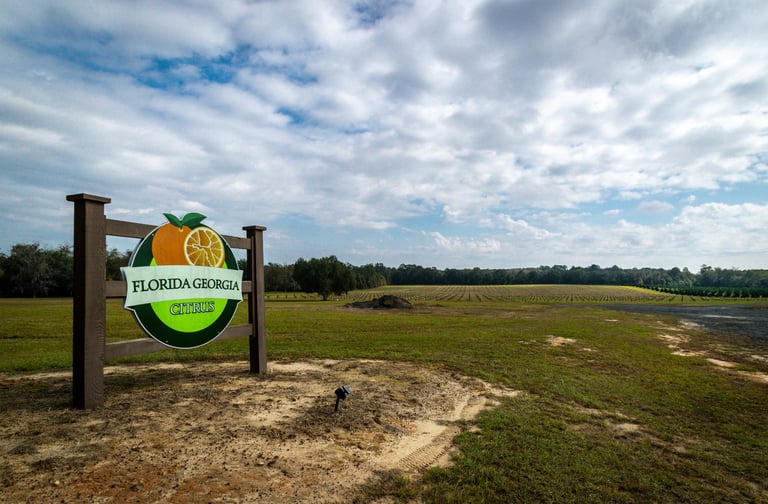 image of signage for citrus farm