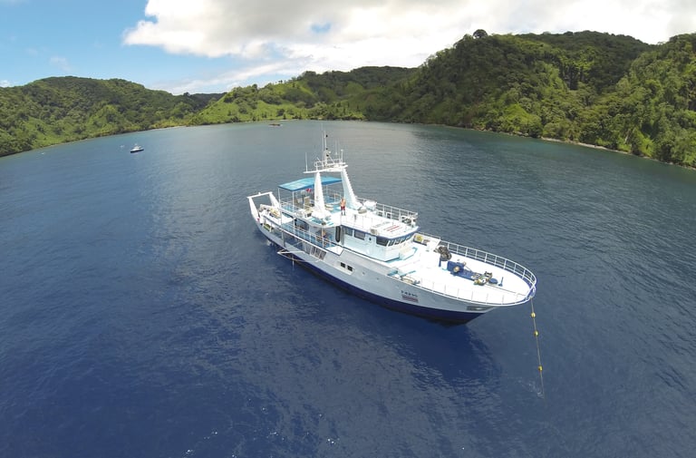 Scuba Diving with sharks at Cocos Islands, Costa Rica