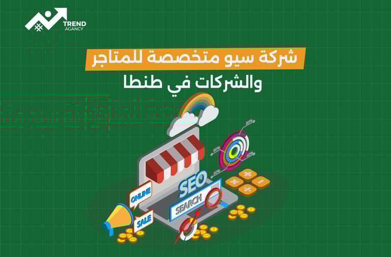 شركة سيو متخصصة للمتاجر والشركات في طنطا