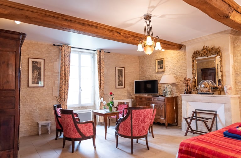 Salon ensoleillé maison avec pierres apparentes