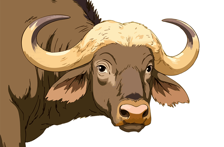 Thumbnail of Cape Buffalo graphic art print — Primal Gaze.