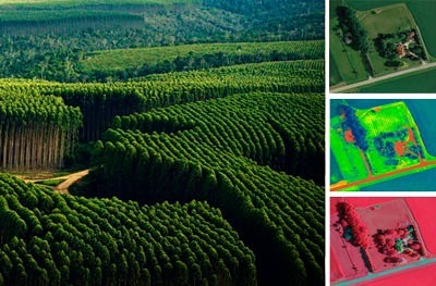 GESTÃO DE FLORESTAS COM DRONES