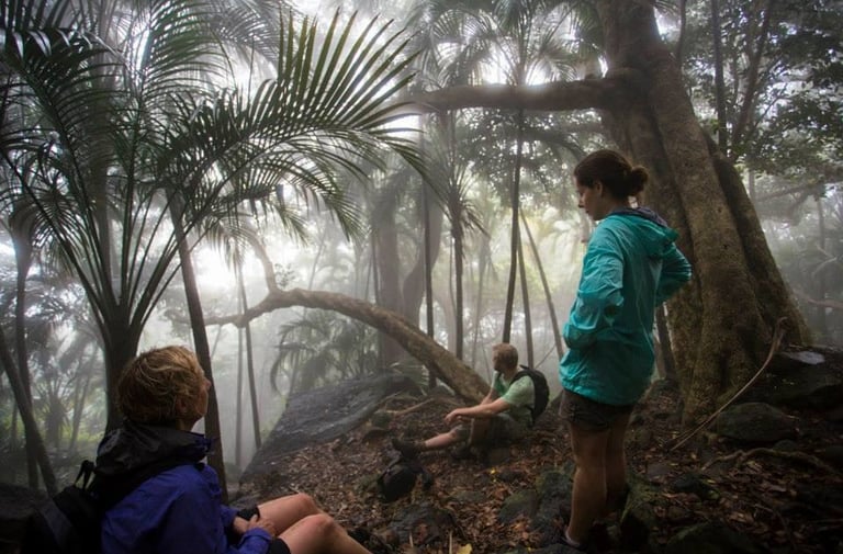 Climbers having a rest during the Mt Gower Walk