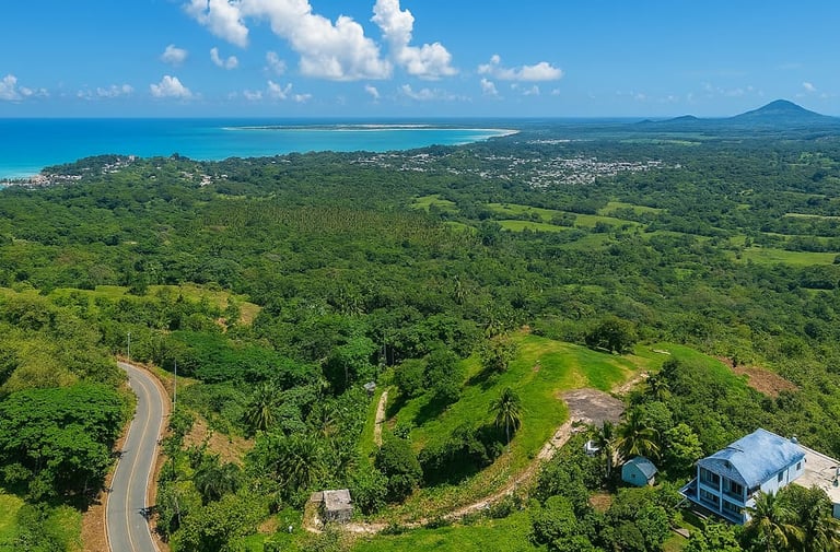 Vista Serena — Lote de lujo con vista al mar en Miches