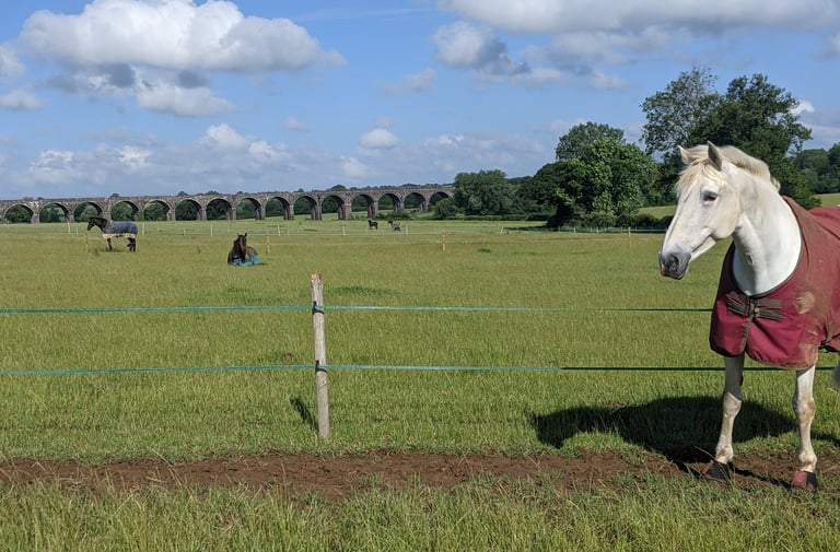 Individual turnout at livery yard near Bicester.