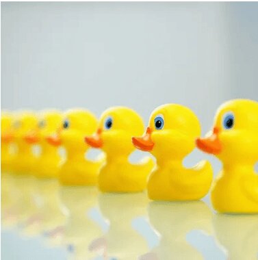 Yellow rubber ducks in orderly row representing workflow organisation