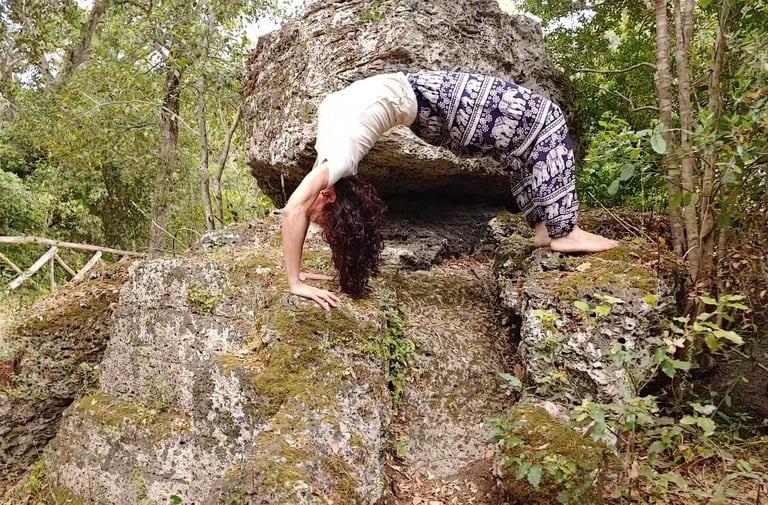 Yoga: Chakrasana nel Bosco dei Cuturi 