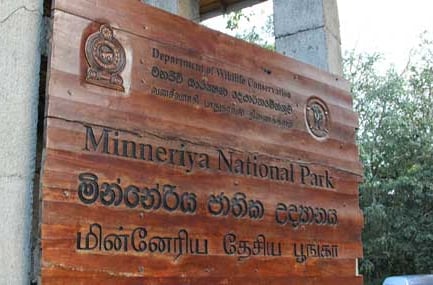 Minneriya & Kaudulla National Parks
